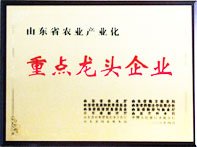 荣誉认证